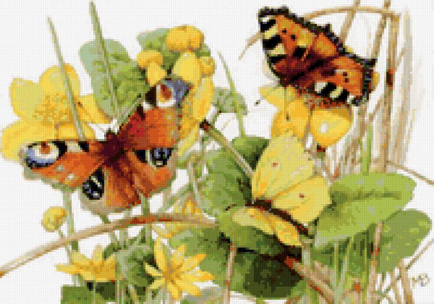бабочки и цветы - цветы, бабочки - предпросмотр