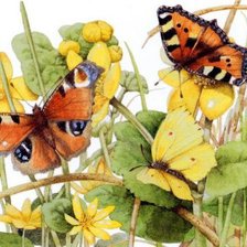 Оригинал схемы вышивки «бабочки и цветы» (№131999)