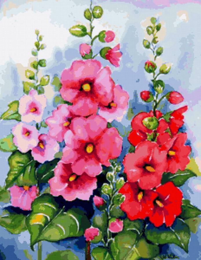 Мальва - садовые цветы, мальва, лето, мальвы, цветы, цветочки - предпросмотр