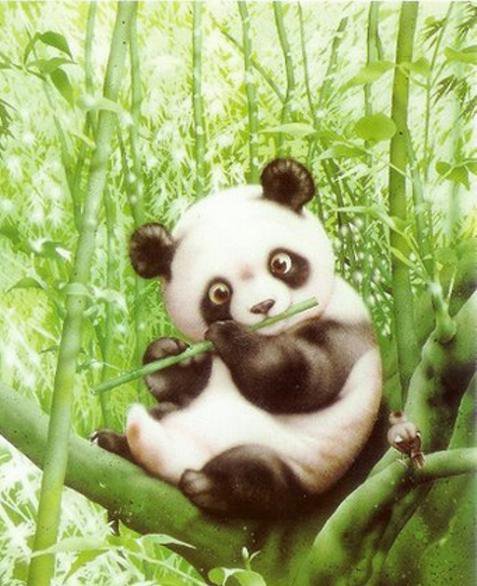 панда - животное - оригинал