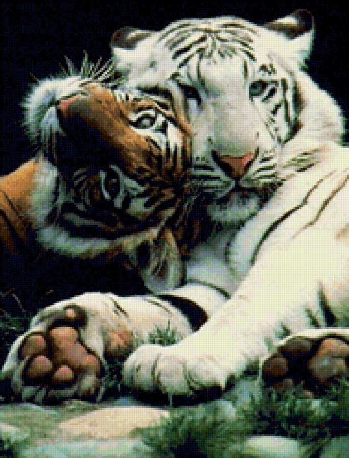 парочка - двое, тигры, пара, животные - предпросмотр