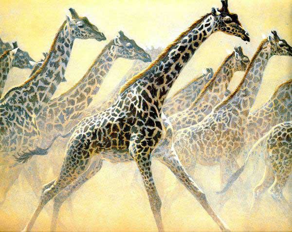 серия Африка - жирафы, животные - оригинал