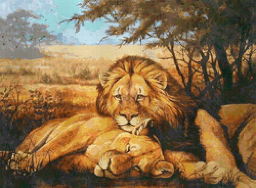 серия Африка - животные, львы - предпросмотр