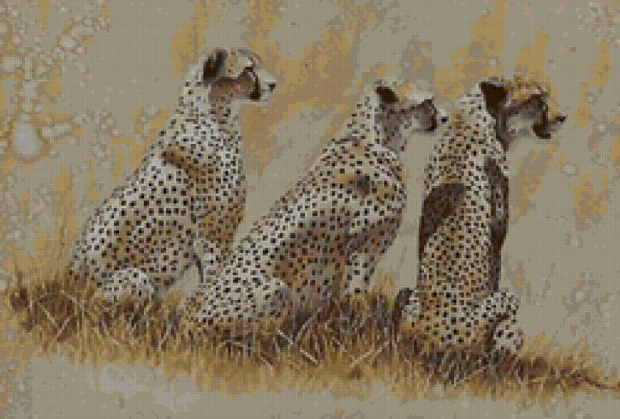 серия Африка - гепарды, животные - предпросмотр