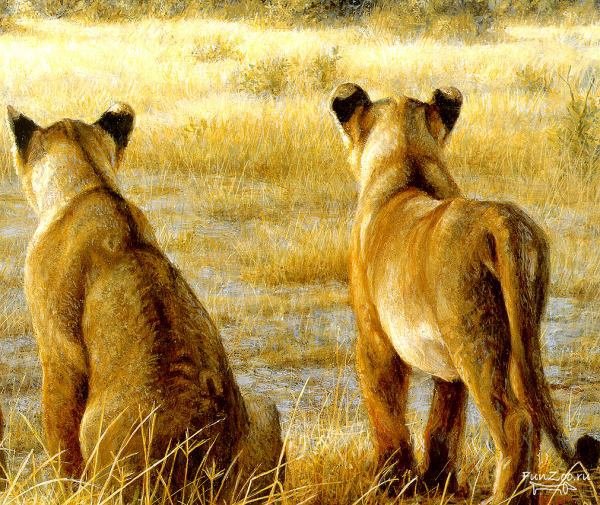 серия Африка - животные, львы - оригинал