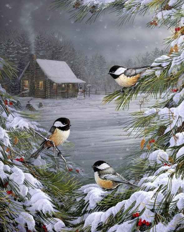 Синички - зима, дом, снег, птица, лес - оригинал