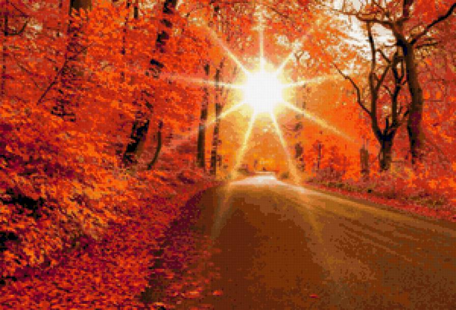 Серия "Осень" Золотая дорога - осень, деревья, пейзаж - предпросмотр