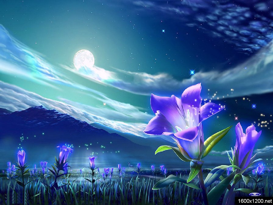 вечернее поле - луна, поле, закат, природа, цветы, пейзаж, небо, колокольчики - оригинал