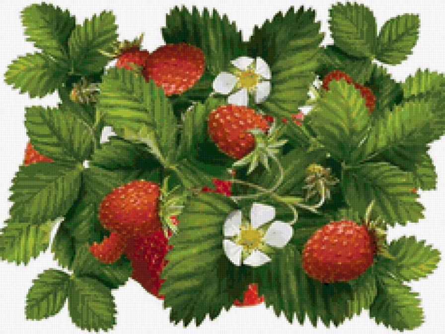 Фон с ягодами - ягоды - предпросмотр