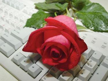 Роза на клавиатуре - оригинал