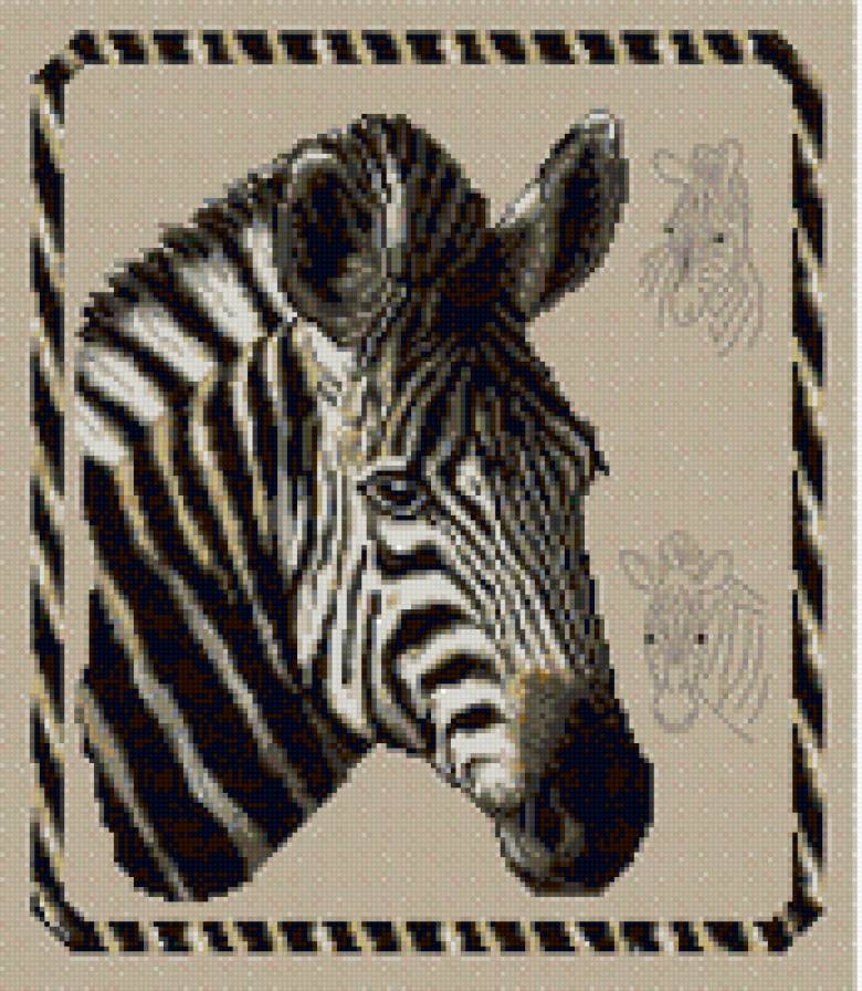 Зебра - зебра - предпросмотр