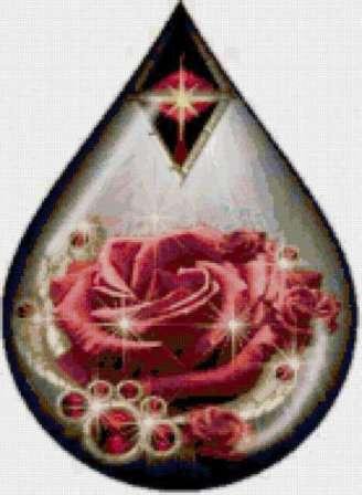 Отражение Розы - цветы, капля, роза, вода, отражение - оригинал