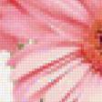 Предпросмотр схемы вышивки «Красивые нежные цветочки))» (№133742)