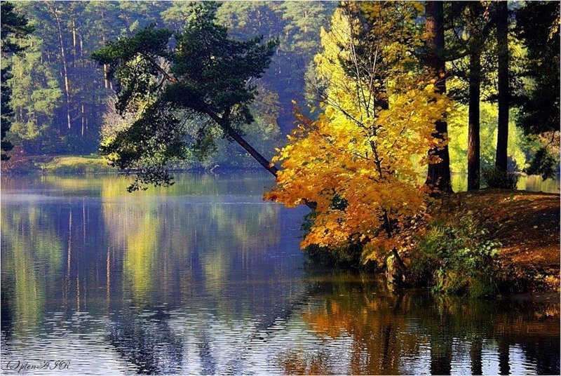 Волшебство осени - озеро, пейзаж, лес, природа, осень - оригинал