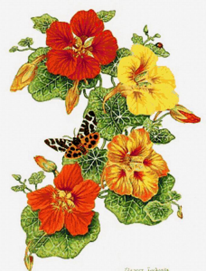 Настурция и бабочки - настурция, флор, цветы, цветы и бабочки, бабочка, панно, бабочки - предпросмотр