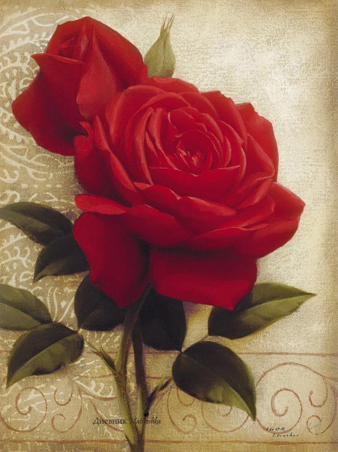 Розы - букет, цветы, лепестки, розы, душистые розы, роза - оригинал