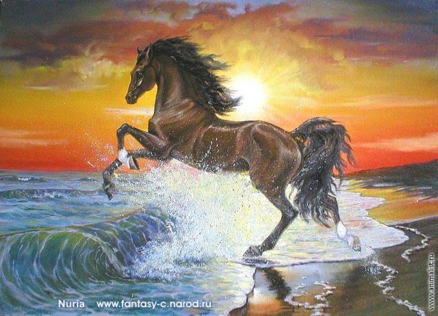 На рассвете... - рассвет, вода, лошадь, река, прогулка - оригинал