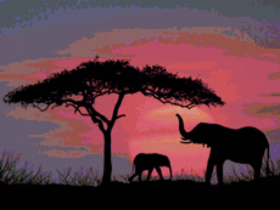 Закат в Африке - слон, пейзаж, африка, слоны, природа, дерево, закат - предпросмотр