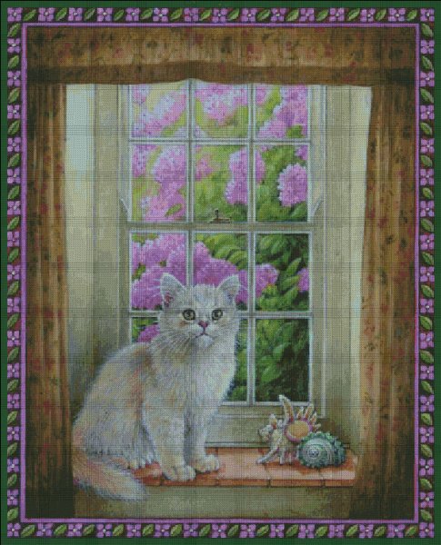 Вустер в окно Коттедж Берег - кошка - оригинал
