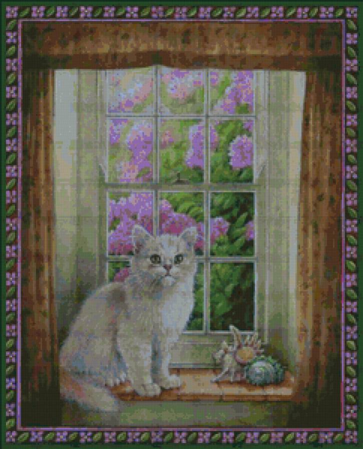 Вустер в окно Коттедж Берег - кошка - предпросмотр