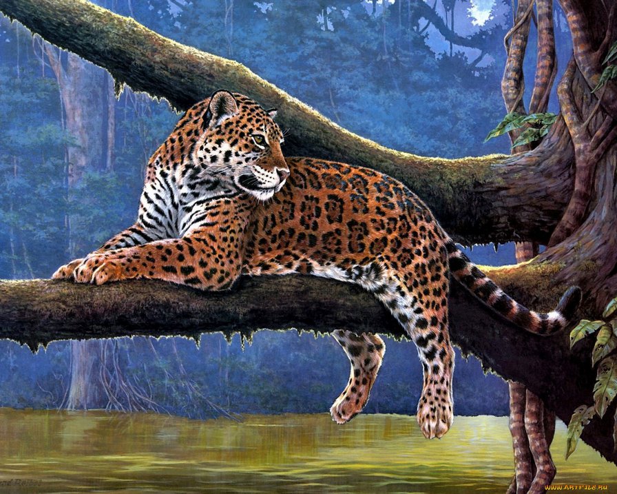 леопард - кот - оригинал