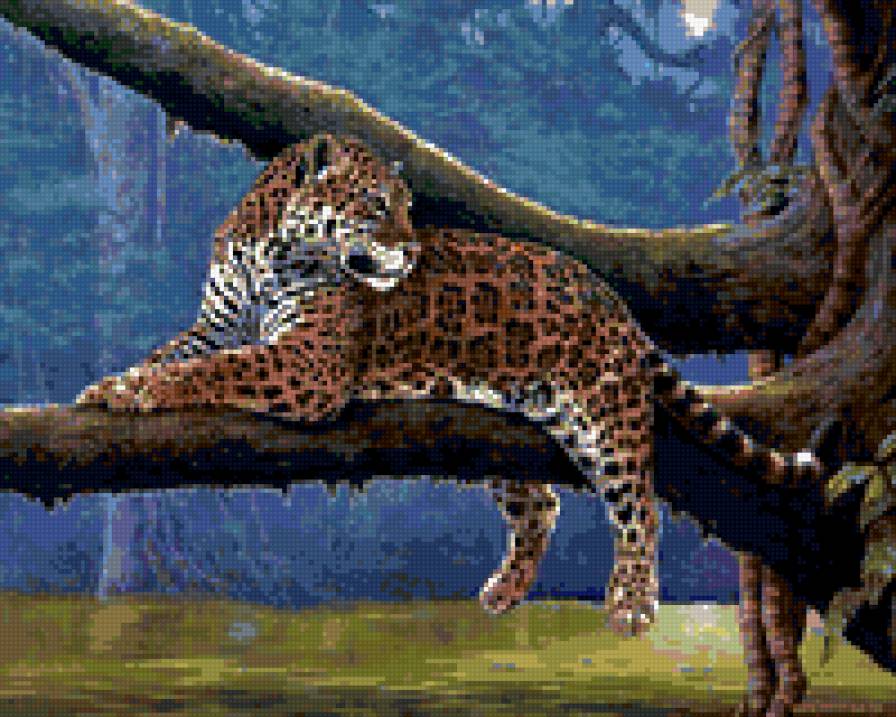 леопард - кот - предпросмотр