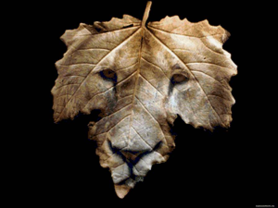 Лев на листочке - листочек, животные, лев - предпросмотр