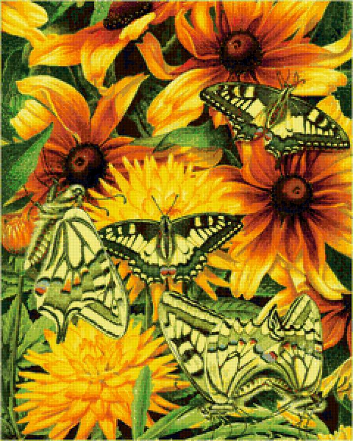 бабочки - цветы, бабочка, природа, мотылек, насекомые - предпросмотр