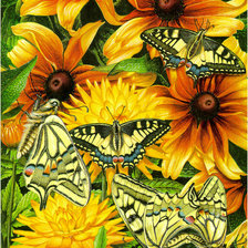 Оригинал схемы вышивки «бабочки» (№134450)