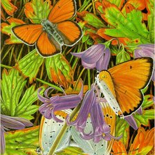 Оригинал схемы вышивки «бабочки» (№134456)