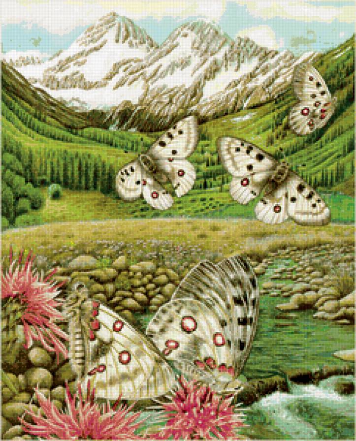 бабочки - горы, насекомые, вода, мотылек, цветы, природа, бабочка, красота - предпросмотр