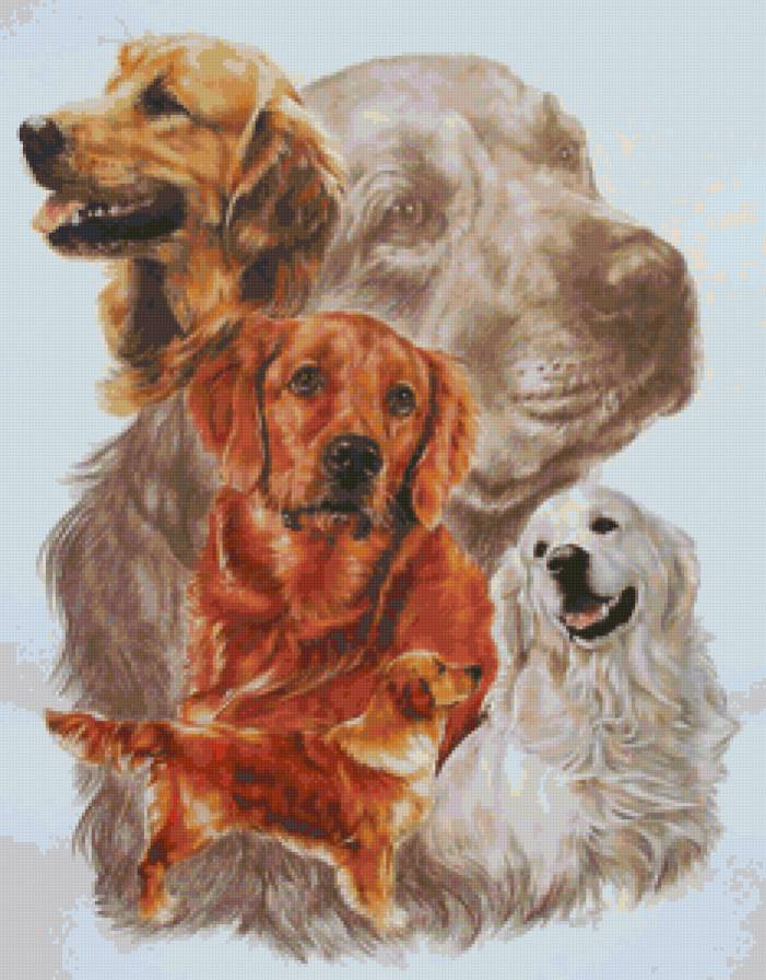Серия "Породы собак. Лабрадор" - собаки, животные - предпросмотр