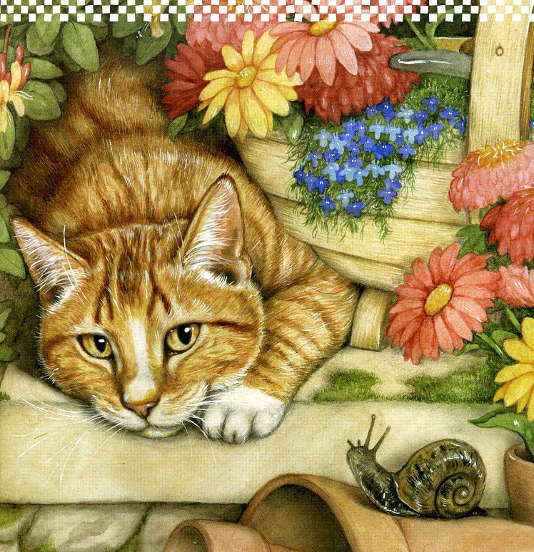 котик - кошки, цветы, кот, коты, кошка, животные - оригинал