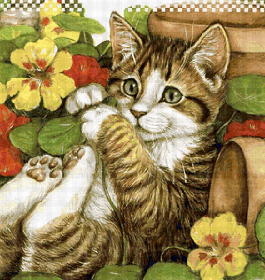 котенок - кошка, котик, коты, кошки, животные, кот, цветы - предпросмотр