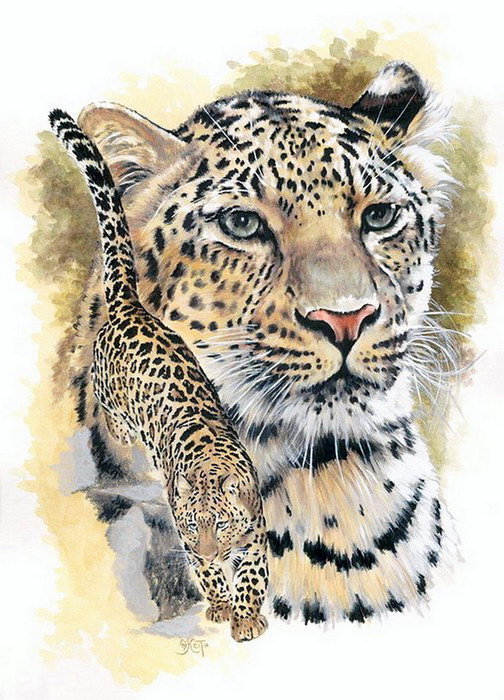 Серия "Большие кошки" - кошки, леопарды, животные - оригинал