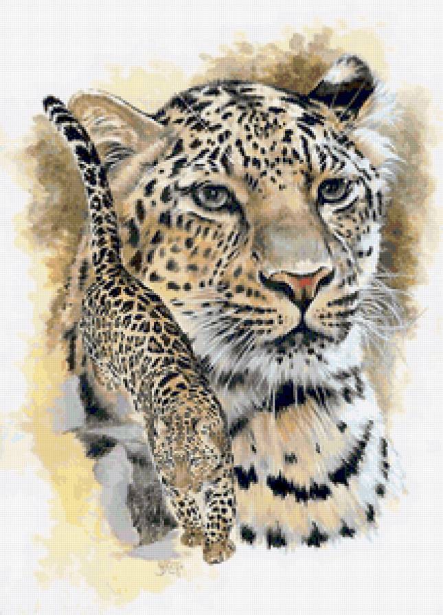 Серия "Большие кошки" - леопарды, животные, кошки - предпросмотр