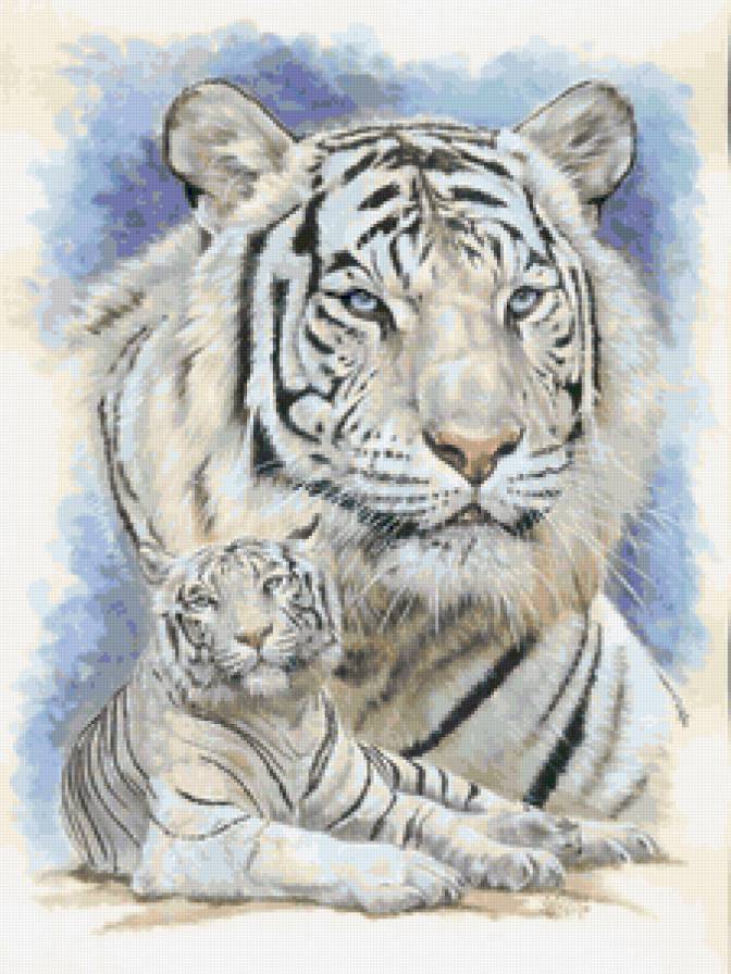 Серия "Большие кошки" - тигры, кошки, животные - предпросмотр
