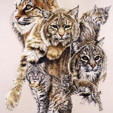 Оригинал схемы вышивки «Серия "Большие кошки"» (№134611)