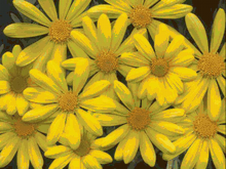 Желтый букет - цветы, подушка - предпросмотр