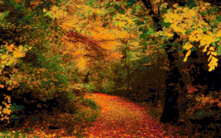Серия "Осень" Дорога в лесу - пейзаж, деревья, осень - предпросмотр