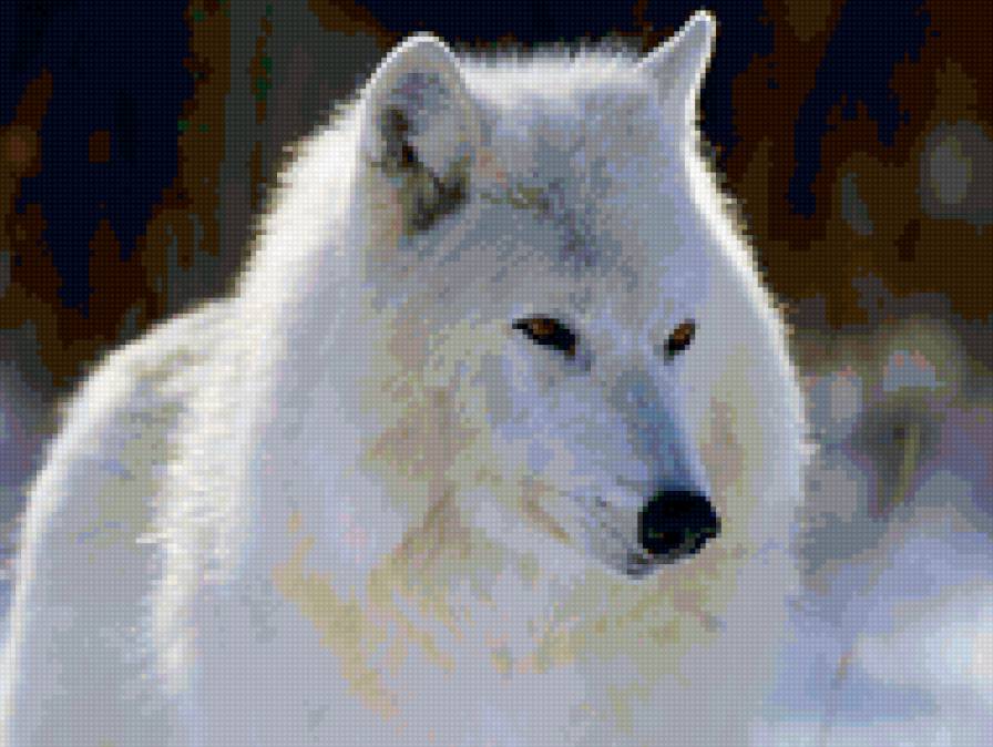 №134845 - белый волк - предпросмотр