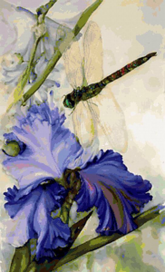 Ирис и стрекозка - насекомые, стрекоза, ирисы, цветок, ирис, цветы - предпросмотр
