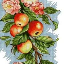 Оригинал схемы вышивки «Яблоки» (№135106)