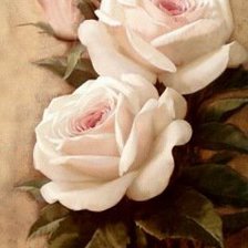 Оригинал схемы вышивки «Розы» (№135639)
