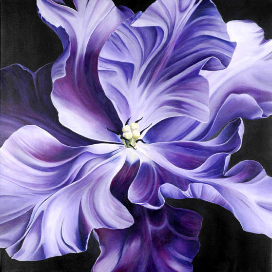 фиолетовое чудо - цветы, цветок - оригинал