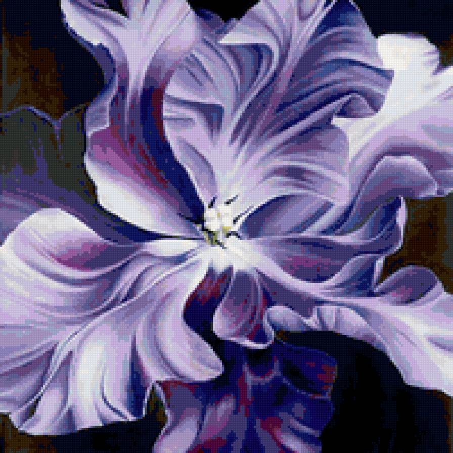 фиолетовое чудо - цветок, цветы - предпросмотр
