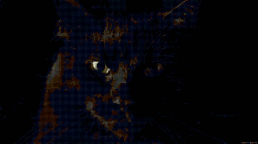 Черный кот - кот, черный - предпросмотр