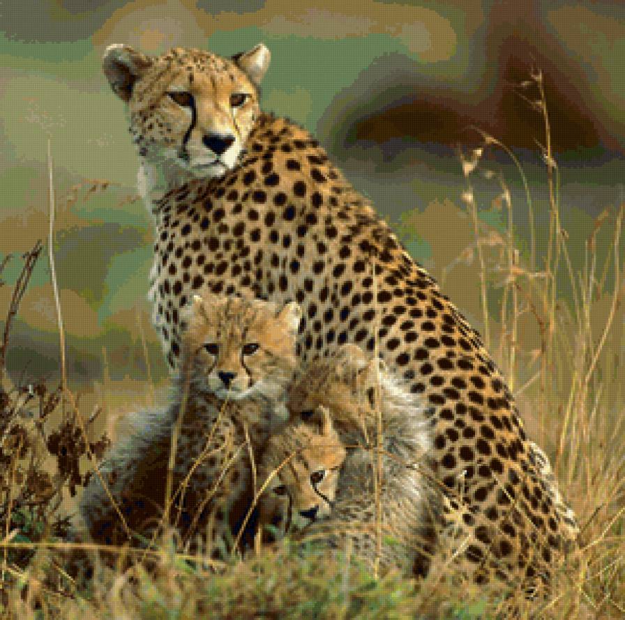 №135757 - гепард, леопард, семья - предпросмотр