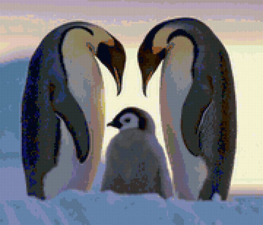 Семья пингвинов - пингвины - предпросмотр