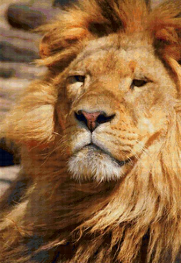 Настоящий царь Муфаса - лев, животные, хищник, большие кошки - предпросмотр